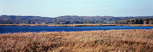 Rügen Seefeld